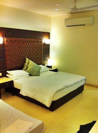 The Metropolis Guest House Near Rk Ashram Metro Station نيودلهي المظهر الخارجي الصورة